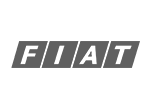 fiat_cinza